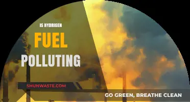 Hydrogen Fuel: Clean Energy or Polluting Pretender?