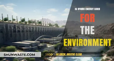 Hydro Energy: Eco-Friendly Power or Environmental Trade-Off?