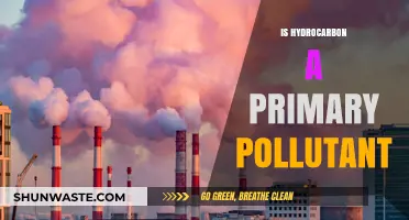 Hydrocarbons: Primary Pollutants or Secondary Concern?