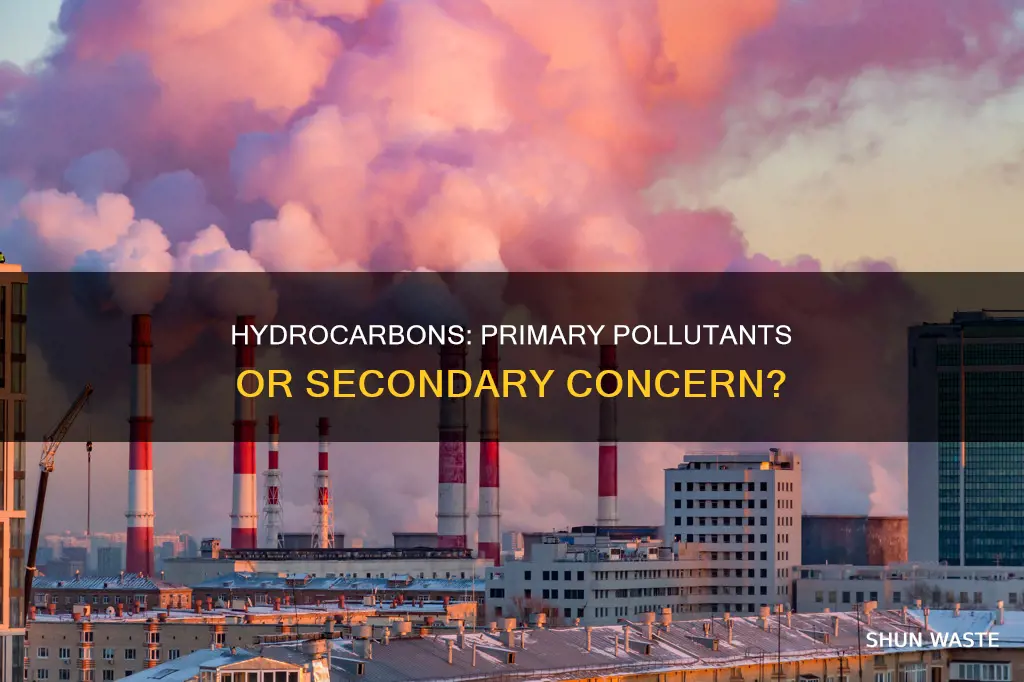 is hydrocarbon a primary pollutant