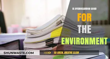 Hydrocarbons and the Environment: Balancing Energy Needs with Ecological Impact