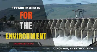 Hydroelectric Energy: Environmental Impact and Sustainability Concerns Explored