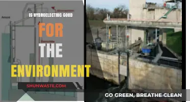 Hydroelectric Power: Eco-Friendly Energy or Environmental Trade-Off?