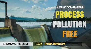 Hydroelectric Power: Pollution-Free or Not?