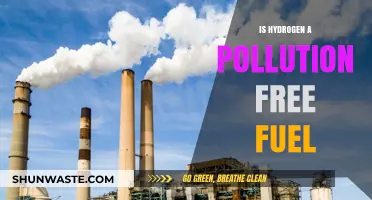 Hydrogen Fuel: Pollution-Free Energy Source?