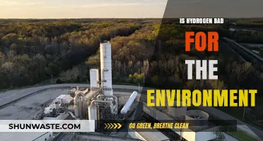 Hydrogen's Environmental Impact: Clean Energy or Hidden Ecological Threat?