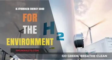 Hydrogen Energy: A Green Solution or Environmental Challenge?