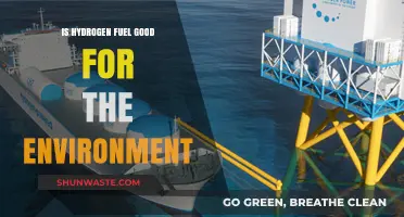 Hydrogen Fuel: Eco-Friendly Solution or Environmental Challenge?