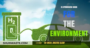 Hydrogen's Environmental Impact: Clean Energy Solution or Green Myth?