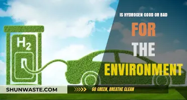 Hydrogen's Environmental Impact: A Clean Energy Savior or Climate Culprit?