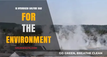 Hydrogen Sulfide's Environmental Impact: Harmful Effects and Ecological Concerns