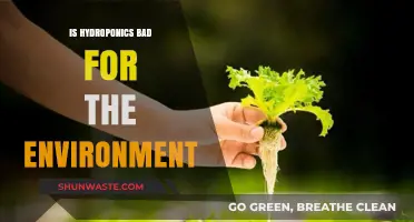 Hydroponics and the Environment: Sustainable or Harmful?