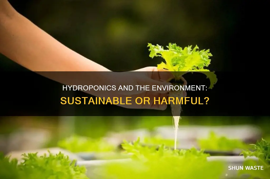 is hydroponics bad for the environment