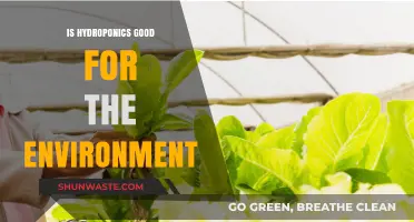Hydroponics: Eco-Friendly Farming for a Sustainable Future