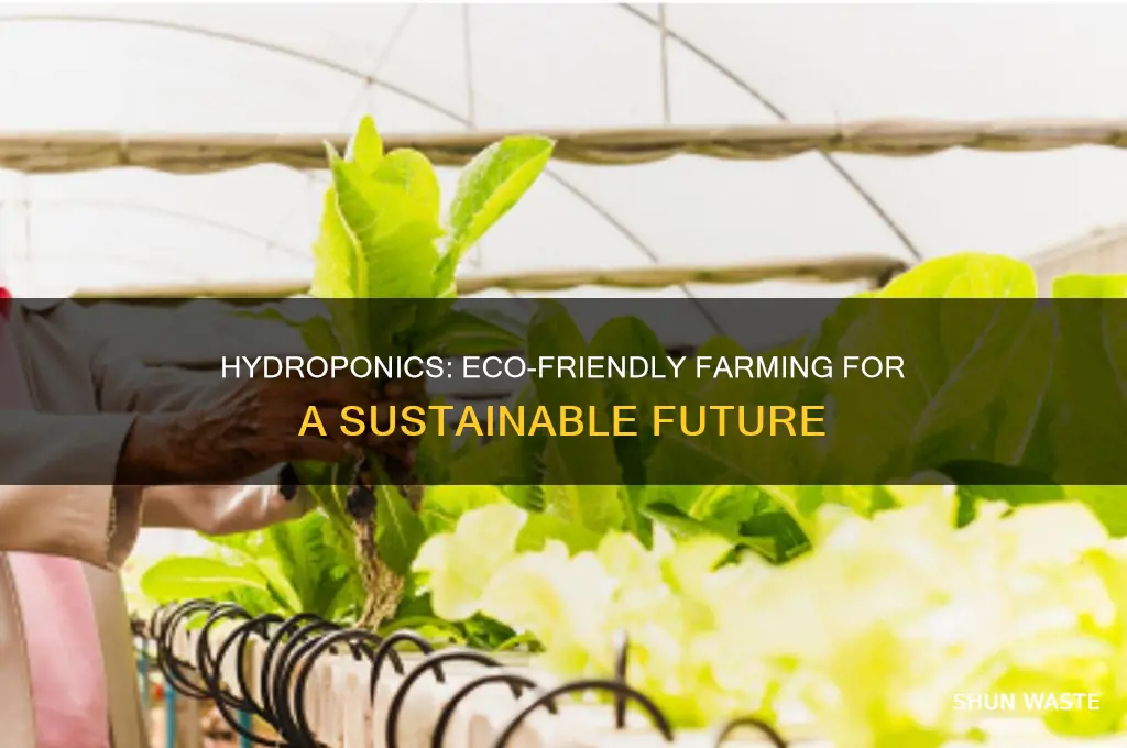 is hydroponics good for the environment