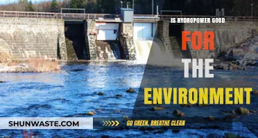 Hydropower's Environmental Impact: Sustainable Energy or Ecological Dilemma?