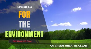 Hydroxyl's Environmental Impact: Friend or Foe for Our Planet?
