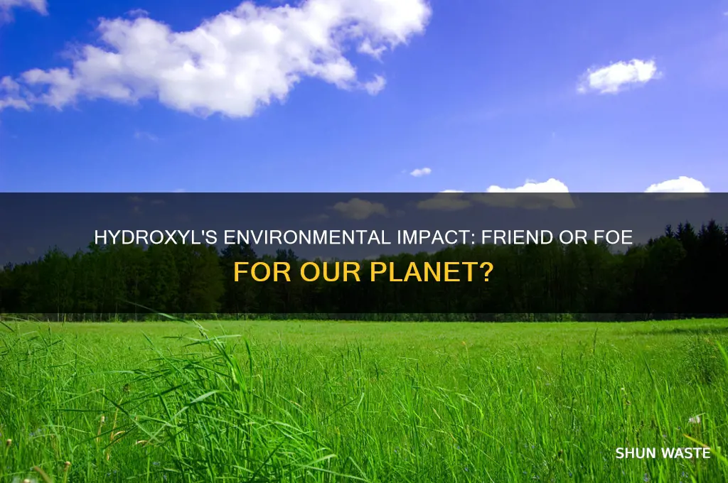 is hydroxyl bad for the environment
