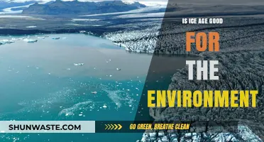 Ice Ages: Environmental Boon or Ecological Disaster?