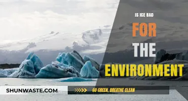 Is Ice Environmentally Harmful? Exploring Its Ecological Impact and Sustainability