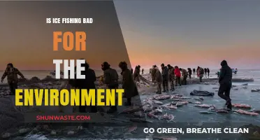 Ice Fishing's Environmental Impact: Sustainable Practice or Ecological Threat?