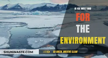 Is Ice Melt Harming Our Environment? Exploring Its Ecological Impact