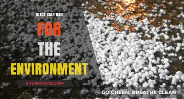 Environmental Impact of Ice Melt Salt: Harmful or Harmless?