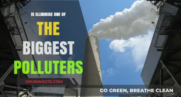 Illinois: A Major Polluter in the US?