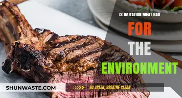 Is Imitation Meat Eco-Friendly? Uncovering Its Environmental Impact