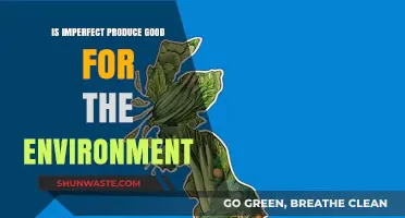 Imperfect Produce: Eco-Friendly Choice or Environmental Myth?