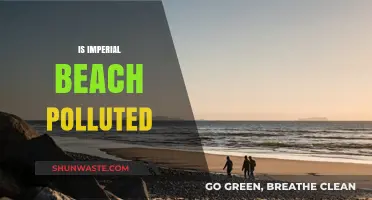 Imperial Beach: A Polluted Paradise?