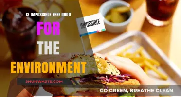 Is Impossible Beef Eco-Friendly? Unpacking Its Environmental Impact