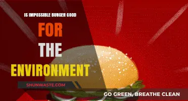Is the Impossible Burger Eco-Friendly? Unpacking Its Environmental Impact