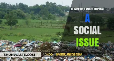 The Hidden Crisis: How Improper Waste Disposal Threatens Our Communities