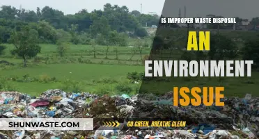 The Hidden Menace: How Improper Waste Disposal Threatens Our Environment