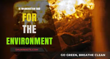 Incineration's Environmental Impact: Harmful or Sustainable Waste Solution?