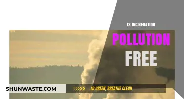 Incineration: Pollution-Free or Not?