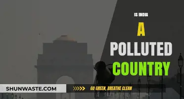 India's Pollution Crisis: A Troubling Reality