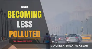 India's Pollution: A Brighter Future?