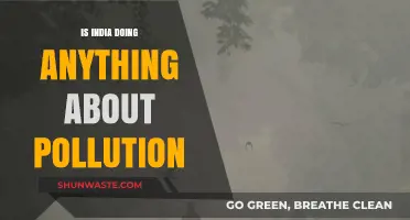 India's Pollution Battle: What's Being Done?