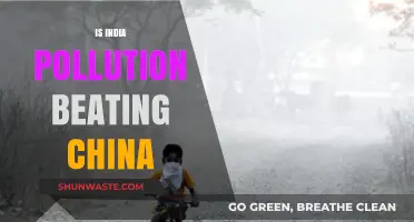 Pollution Battle: India vs China