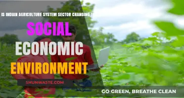 Transforming India: Agriculture's Impact on Social-Economic Dynamics