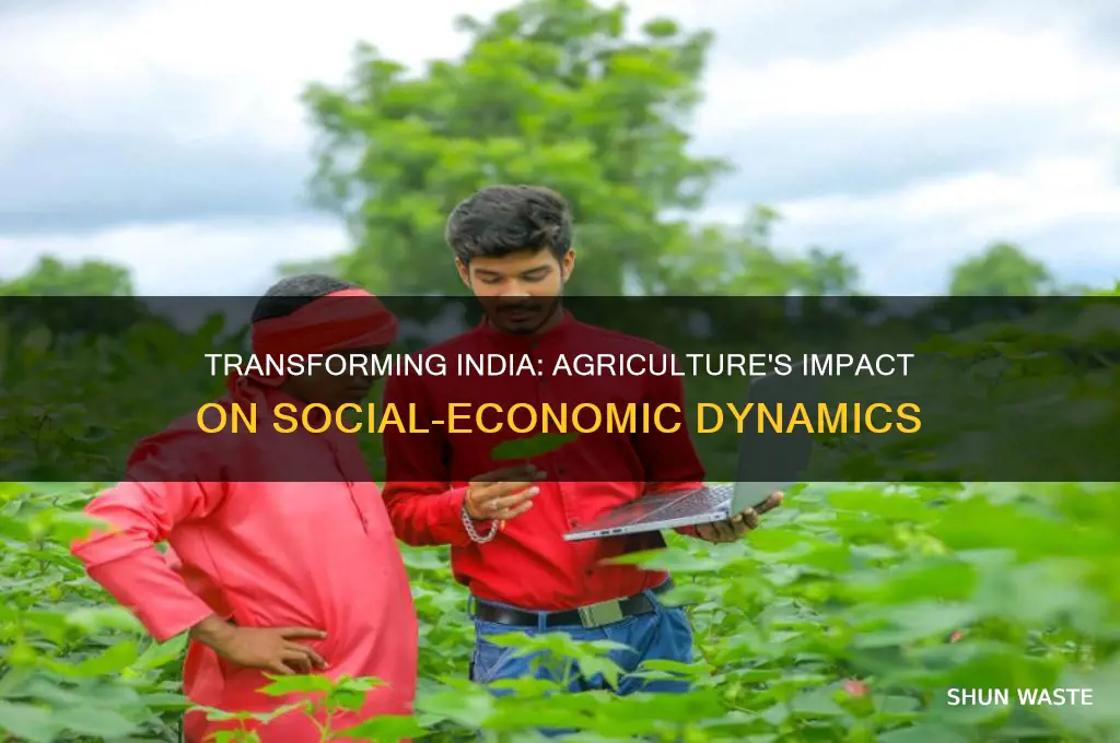is indian agriculture system sector changing the social economic environment