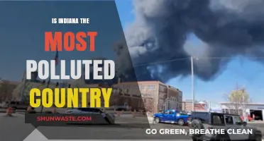 Hoosier State Pollution: Is Indiana the Dirtiest?