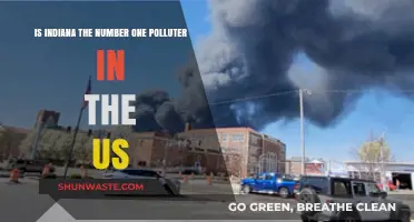 Hoosier State: America's Top Polluter?