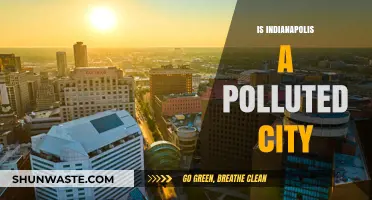 Indianapolis' Pollution Problem: A City's Air Quality Crisis