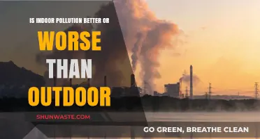 Indoor vs Outdoor Pollution: Which is Worse?