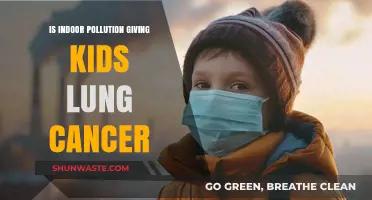 Indoor Pollution: Lung Cancer Risk for Kids?