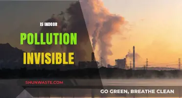 The Silent Threat: Indoor Pollution's Invisible Danger
