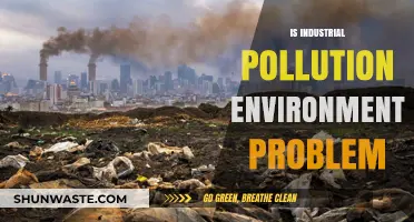 Industrial Pollution: An Environmental Crisis